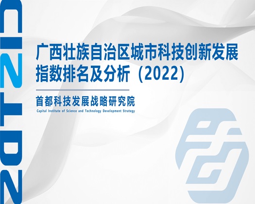 两个女老师玩跳d视频【成果发布】广西壮族自治区城市科技创新发展指数排名及分析（2022）